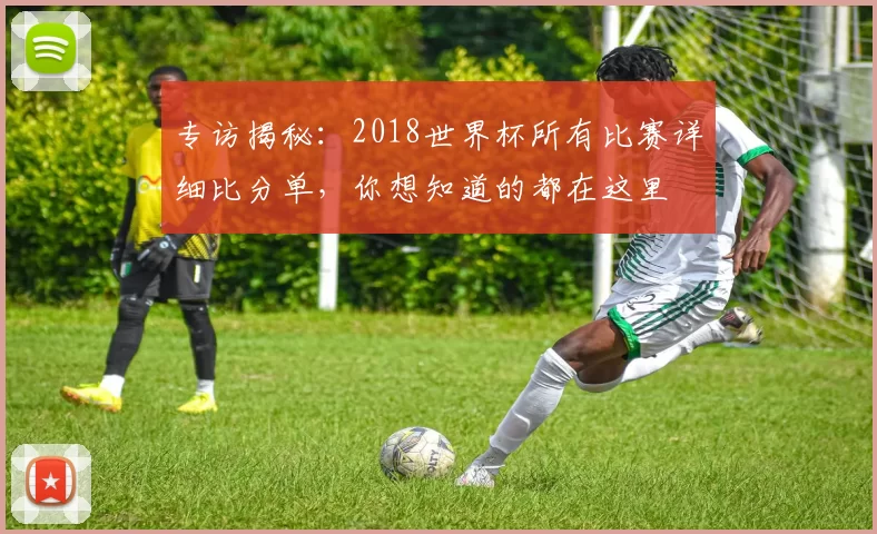 专访揭秘:2018世界杯所有比赛详细比分单,你想知道的都在这里