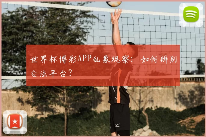 世界杯博彩APP乱象观察:如何辨别合法平台?