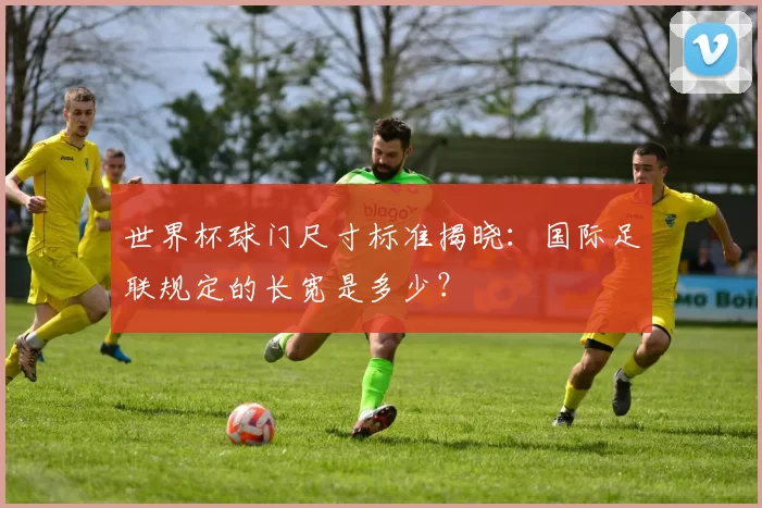 世界杯球门尺寸标准揭晓：国际足联规定的长宽是多少？