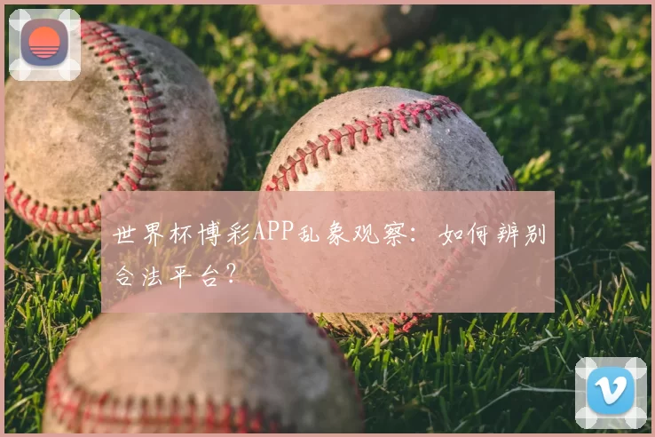 世界杯博彩APP乱象观察:如何辨别合法平台?