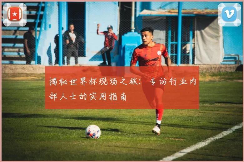 揭秘世界杯现场之旅：专访行业内部人士的实用指南