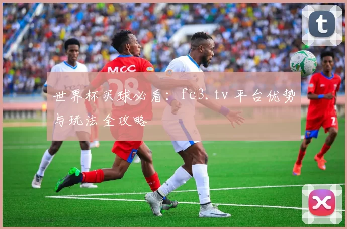 世界杯买球必看：fc3.tv 平台优势与玩法全攻略