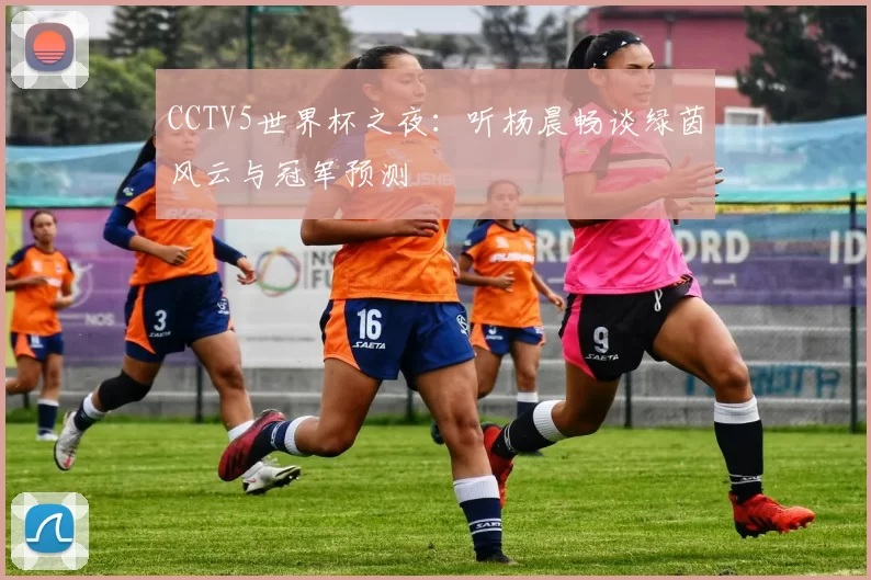 CCTV5世界杯之夜:听杨晨畅谈绿茵风云与冠军预测