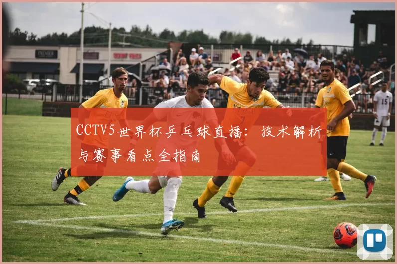 CCTV5世界杯乒乓球直播:技术解析与赛事看点全指南