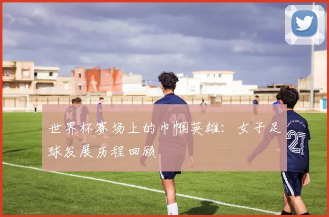 世界杯赛场上的巾帼英雄：女子足球发展历程回顾