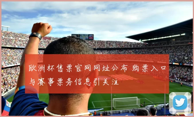欧洲杯售票官网网址公布 购票入口与赛事票务信息引关注