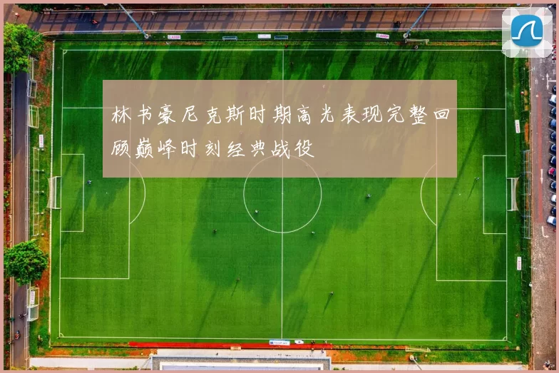 林书豪尼克斯时期高光表现完整回顾巅峰时刻经典战役