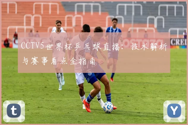 CCTV5世界杯乒乓球直播:技术解析与赛事看点全指南